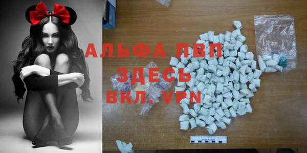 прущий лед Магас