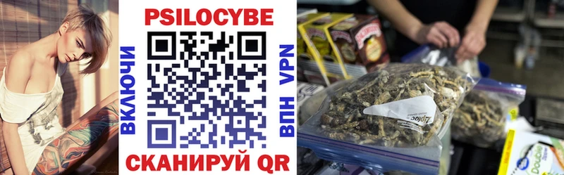 Псилоцибиновые грибы Psilocybe  это официальный сайт  Плёс 